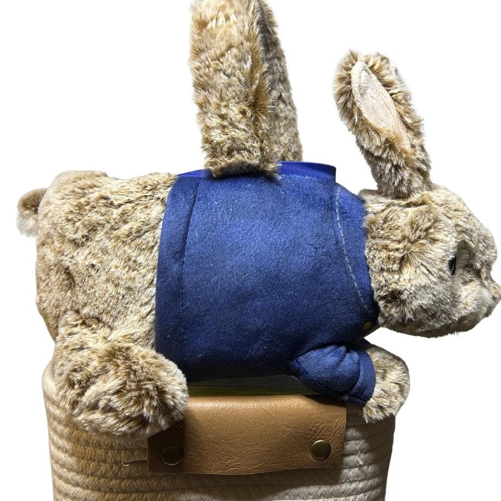 Peter Rabbit Plush Easter Basket – 3D Stuffed Animal Treat Bucket
